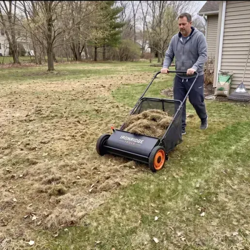 Homeowner pushing the IronRidge sweeper across a lawn after dethatching